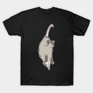 Hang in there T-Shirt